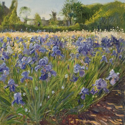 Über den blauen Schwertlilien von Timothy Easton